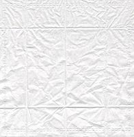 Napkin