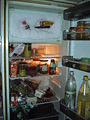 Thumbnail for version as of 00:59, 10 January 2009