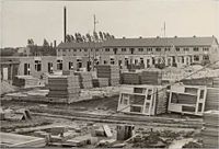 Sparrestraat 1960