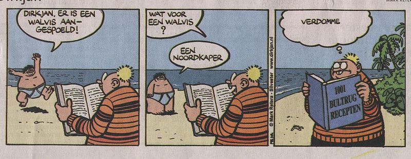 File:Dirk Jan - Wat voor walvis.jpg